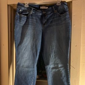 Torrid Skinny Fit Jeans 20W